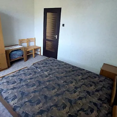 Tulipan Vendeghaz * Денешдиаш