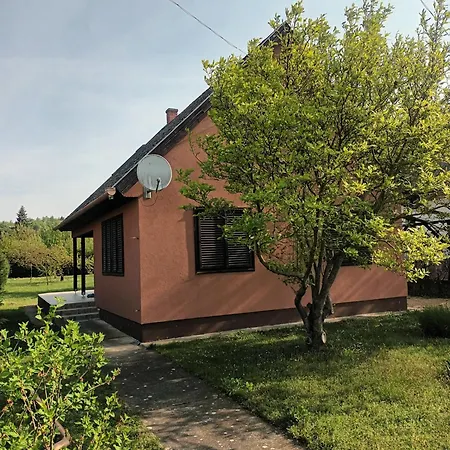 Tulipan Vendeghaz Gyenesdiás