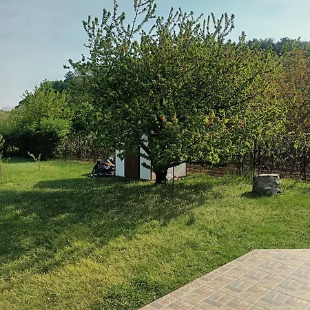 Tulipan Vendeghaz Σπίτι διακοπών