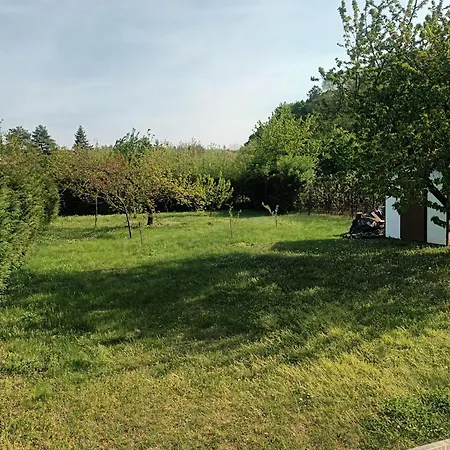 Tulipan Vendeghaz * Денешдиаш