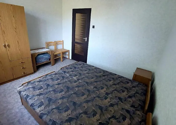 Tulipan Vendeghaz * Gyenesdiás