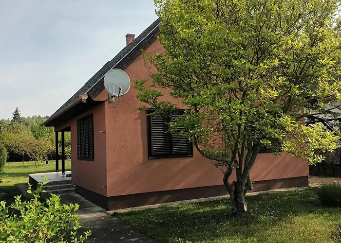 Tulipan Vendeghaz Gyenesdiás