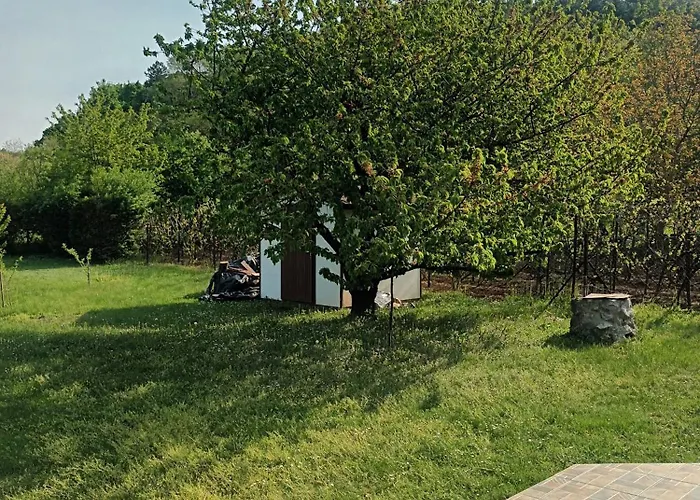 Tulipan Vendeghaz Holiday home