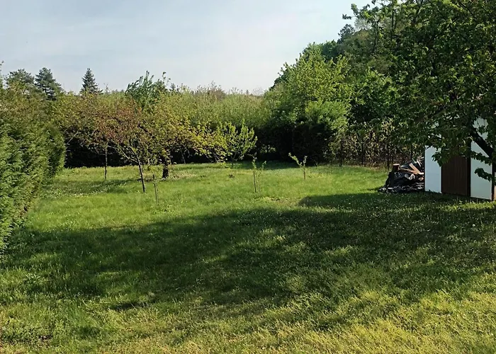 Tulipan Vendeghaz * Gyenesdiás