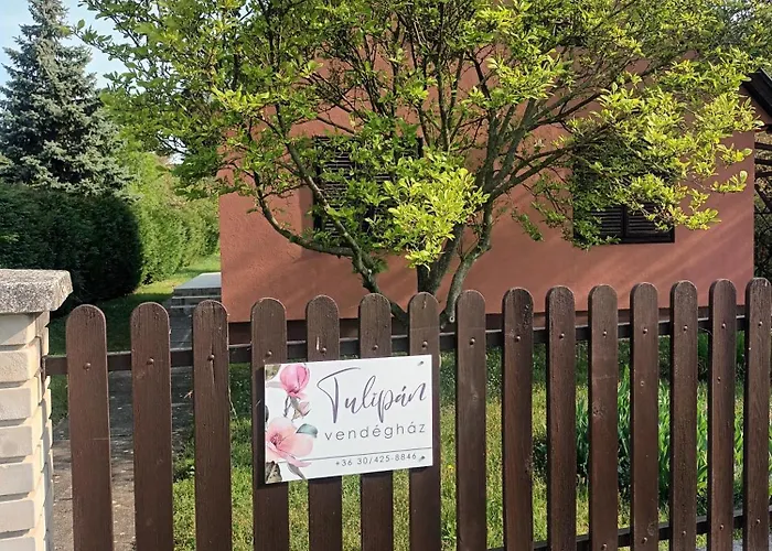 Tulipan Vendeghaz *